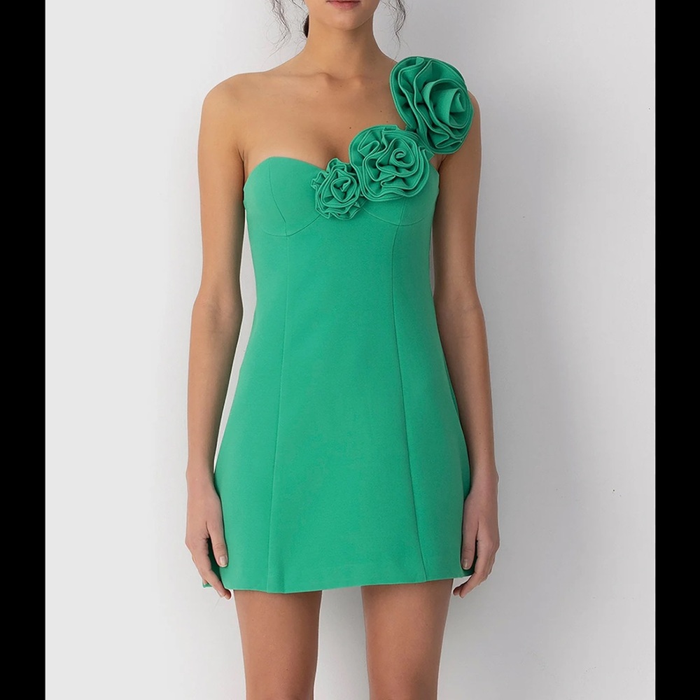 The Wolf Gang Flores Rose Mini Dress- Color Emerald- Size Large